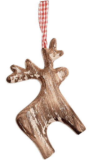 reindeer decoration